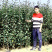 树苗嘎啦苹果树苗烟富苹果嫁接苗苹果苗南北方种植当年结果