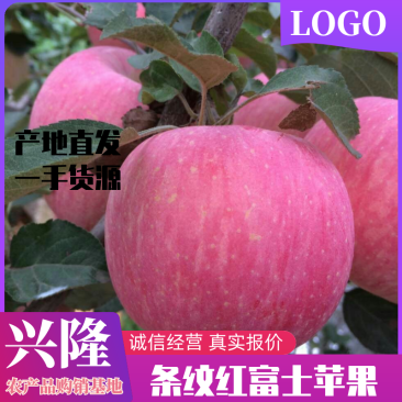 【全国供应】红富士苹果量大质优产地直销一手货源