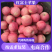 万亩红富士苹果产地直销批发，条红，片红，全红膜袋纸袋
