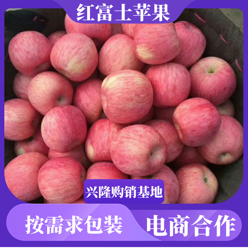万亩红富士苹果产地直销批发，条红，片红，全红膜袋纸袋