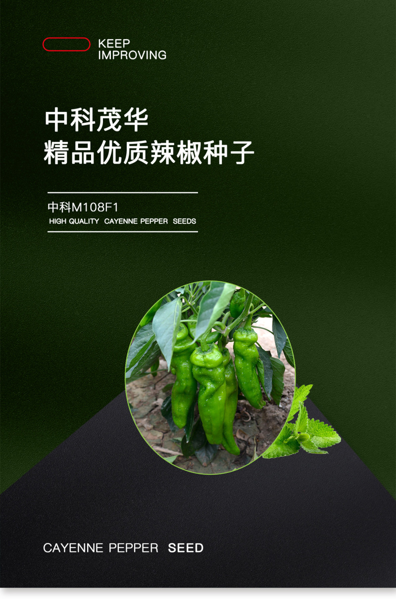 中科茂华蔬菜种子中科M108薄皮辣椒种子微辣清香