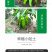 中科茂华蔬菜种子中科M108薄皮辣椒种子微辣清香