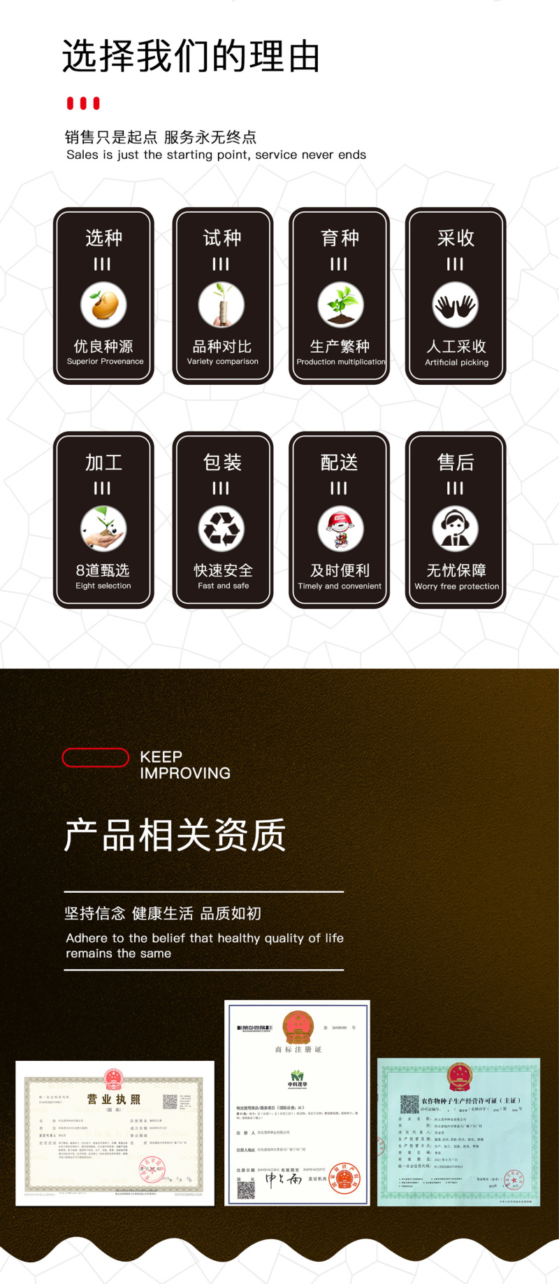 中科茂华蔬菜种子中科M108薄皮辣椒种子微辣清香