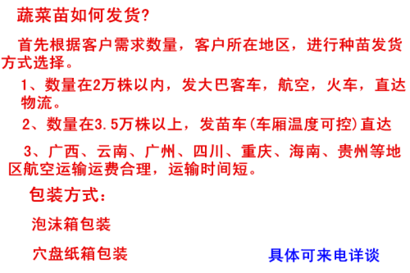 西红柿苗越冬西红柿苗大粉番茄苗耐寒抗死棵高抗病毒