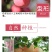陕西现摘新鲜红富士苹果，电商，微商一件代发专业做苹果，