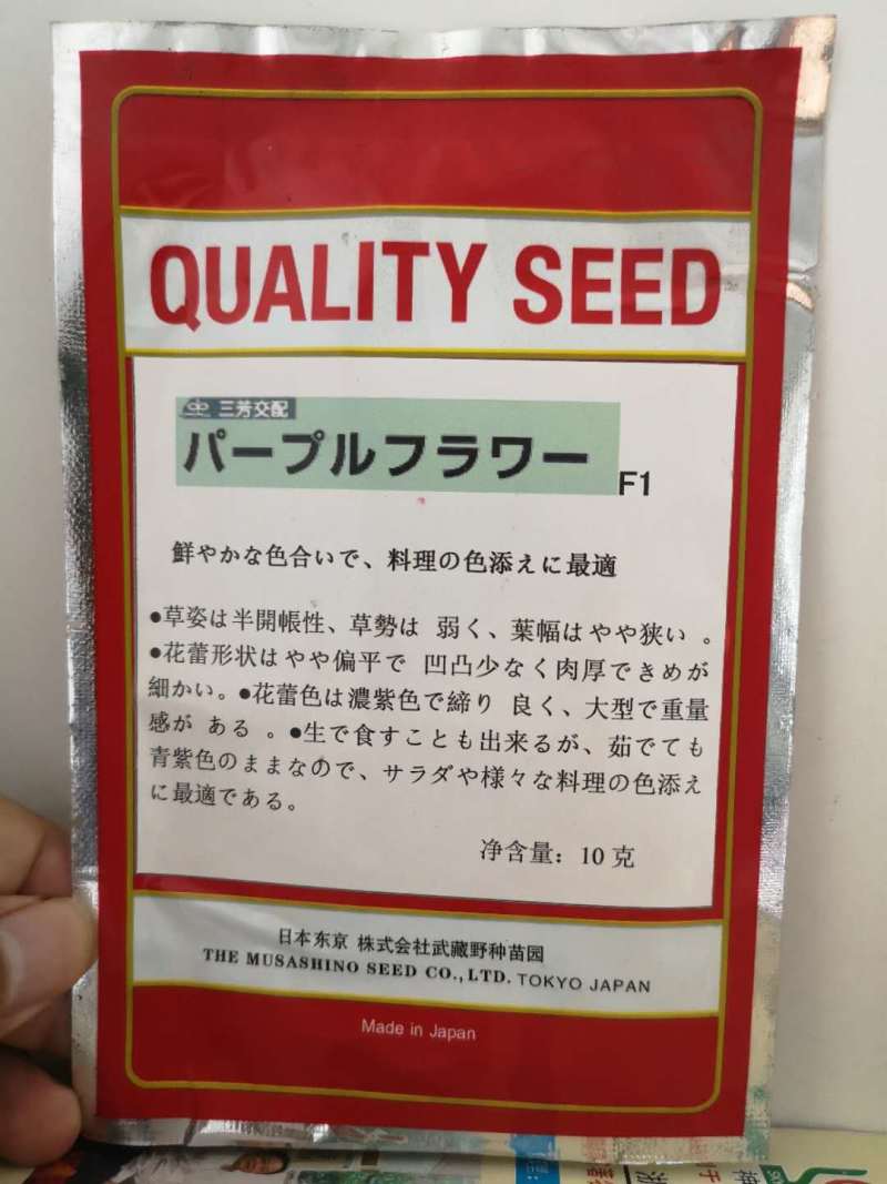 日本武藏野紫花菜种子花椰菜四季菜花水果花菜进口秋春季籽蔬