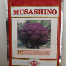 日本武藏野紫花菜种子花椰菜四季菜花水果花菜进口秋春季籽蔬