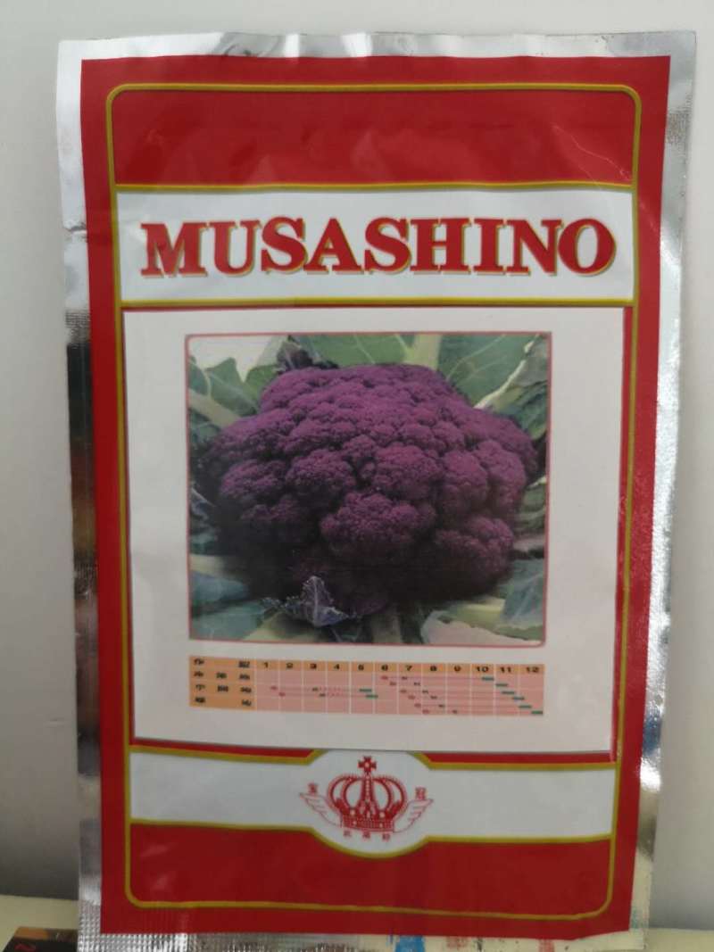 日本武藏野紫花菜种子花椰菜四季菜花水果花菜进口秋春季籽蔬