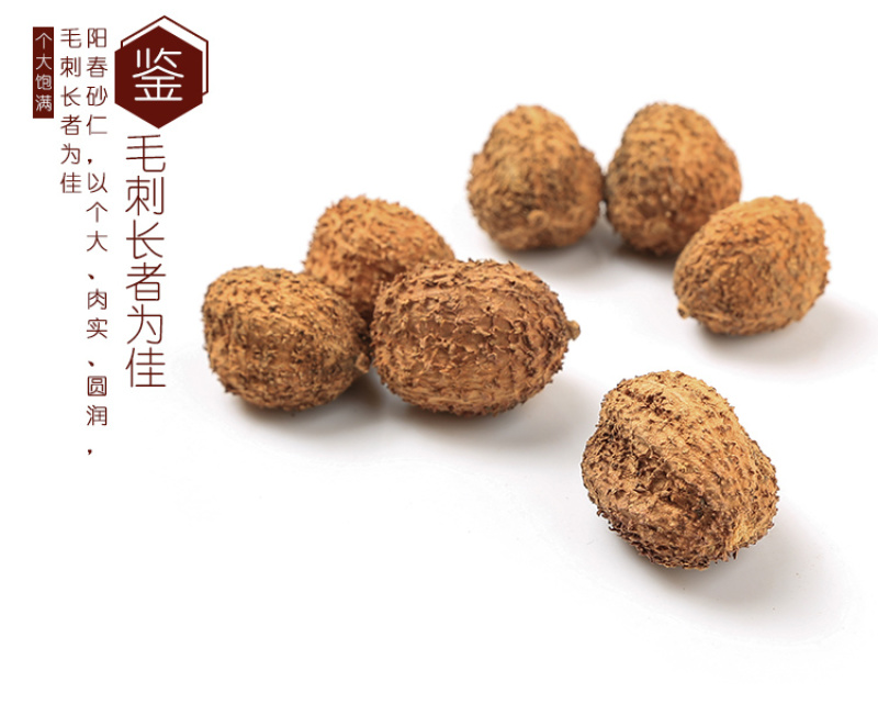 ★精选★五柯云南正宗阳春砂仁干鲜货批发包邮特产中药材养胃