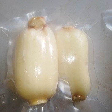 大量直供真空包装甜藕短藕碎莲藕