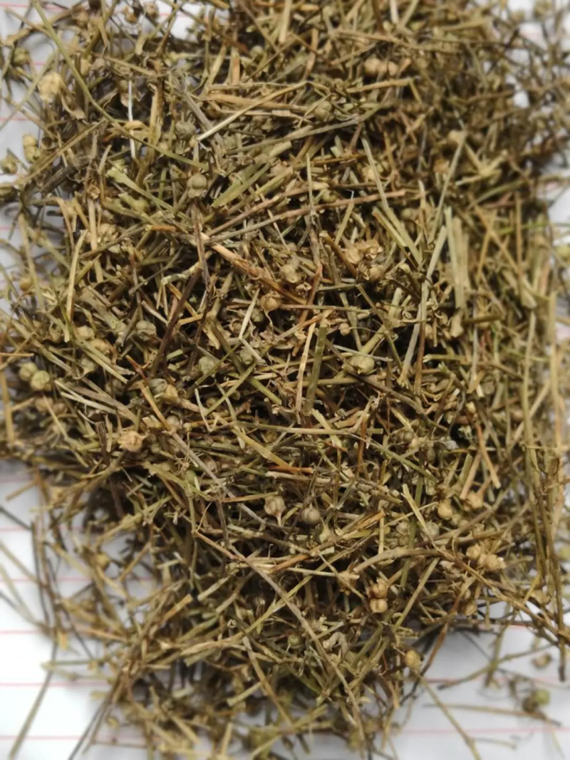 白花蛇舌草河南1公斤起批无硫无添加不包邮
