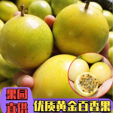 贵香蜜黄金百香果