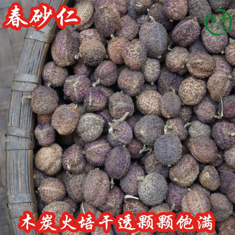 ★热卖★五柯云南阳春砂仁鲜货干货砂仁蜜酒特产中药材批发