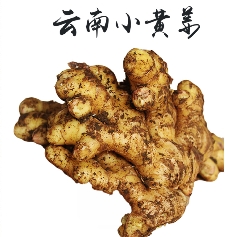 ★推荐★五云南生姜小黄姜新姜子姜老姜母姜一件代发批发包邮