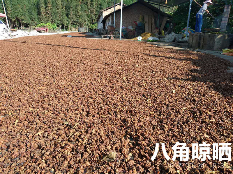 ★特卖★五柯云南大红八角大料水烫无硫全干新八角批发包邮
