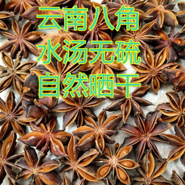 ★特卖★五柯云南大红八角大料水烫无硫全干新八角批发包邮