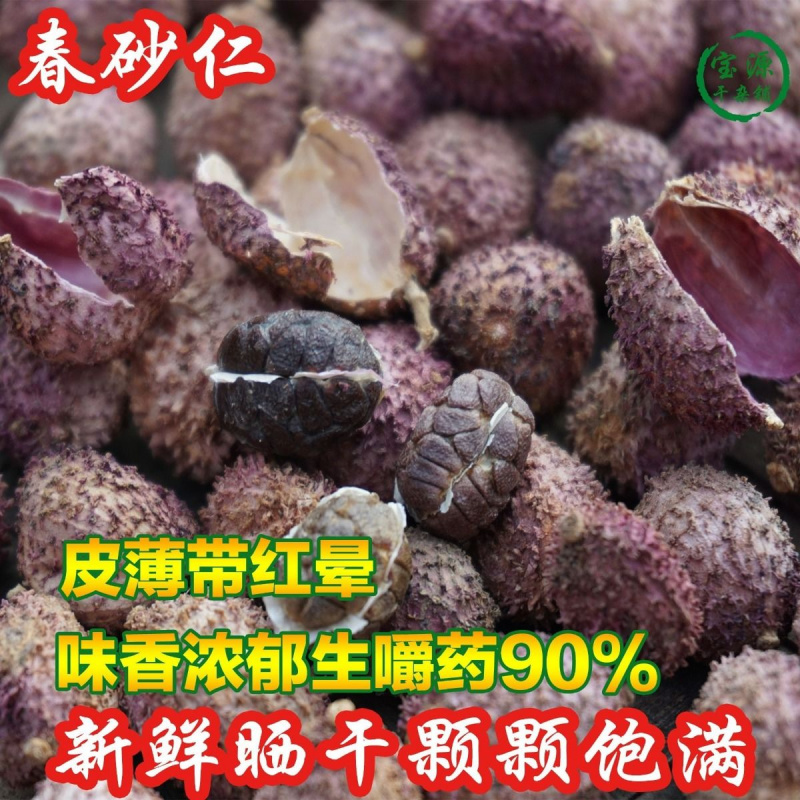 ★精选★五柯云南正宗阳春砂仁干鲜货批发包邮特产中药材养胃