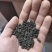 生物菌发酵鸡粪果树专用厂家直销量大优惠