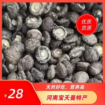 （干香菇）河南产地春栽2到5公分成品分级光面菇，包邮。