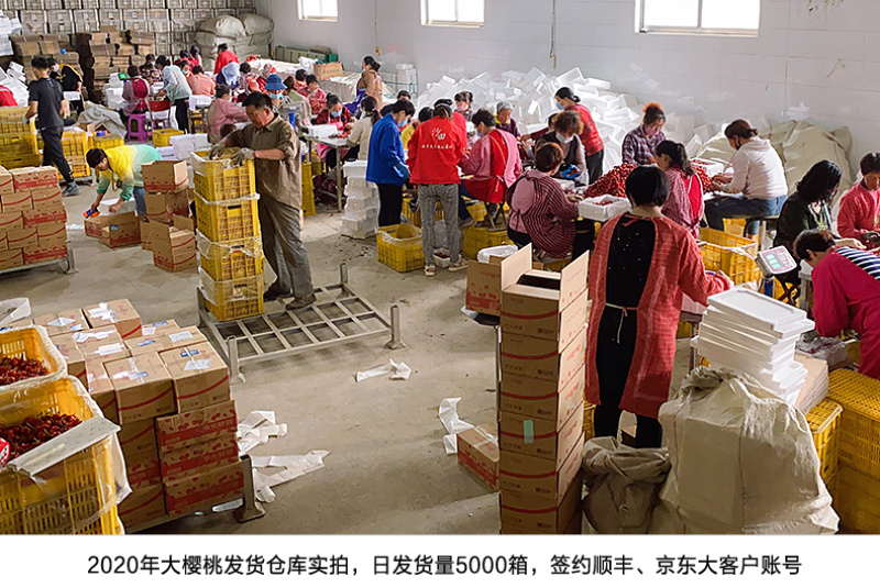 【一件代发】烟台美早大樱桃纯甜樱桃