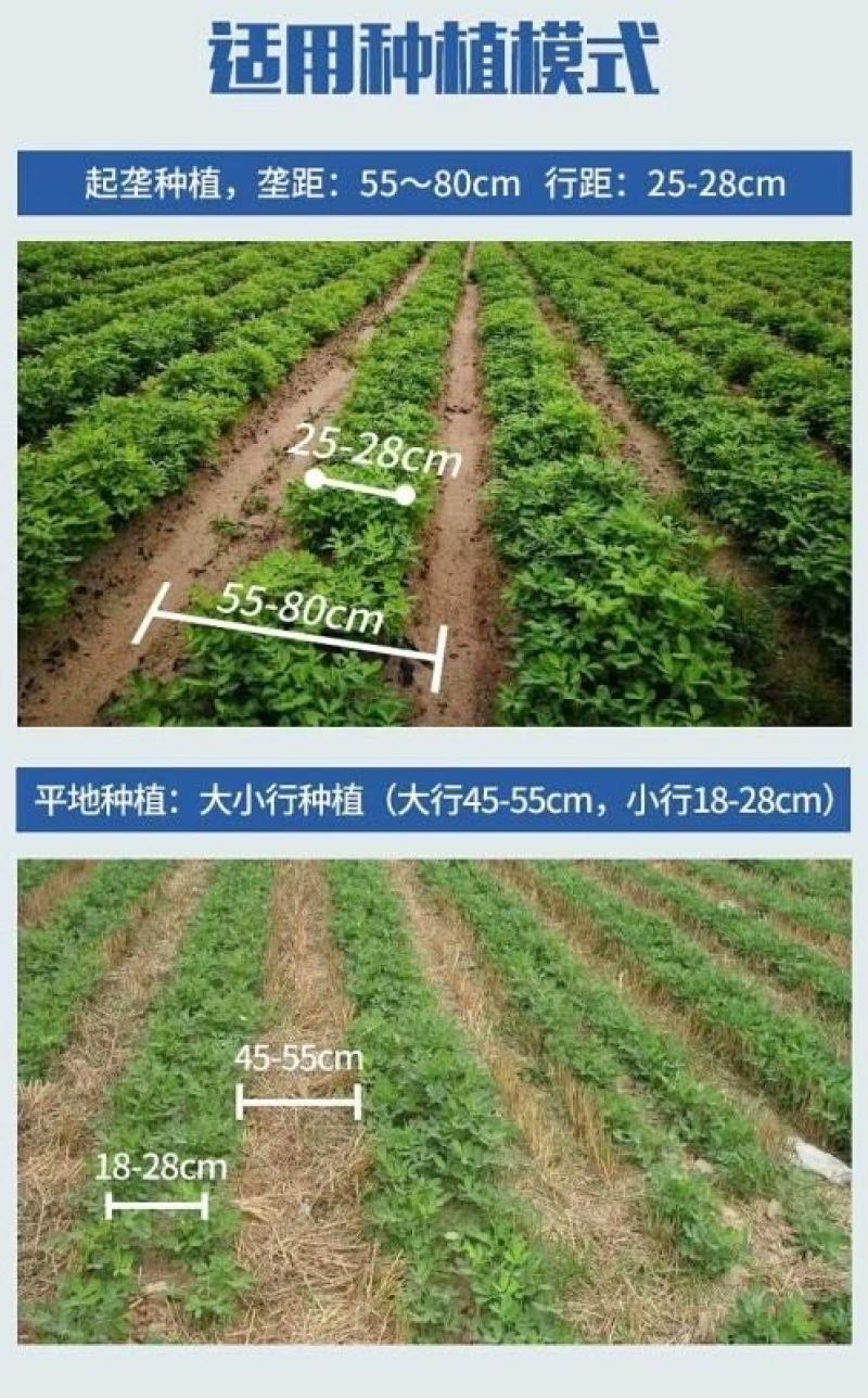 悬挂链条拔花生收割机四轮带花生收获机手扶带花生收获机