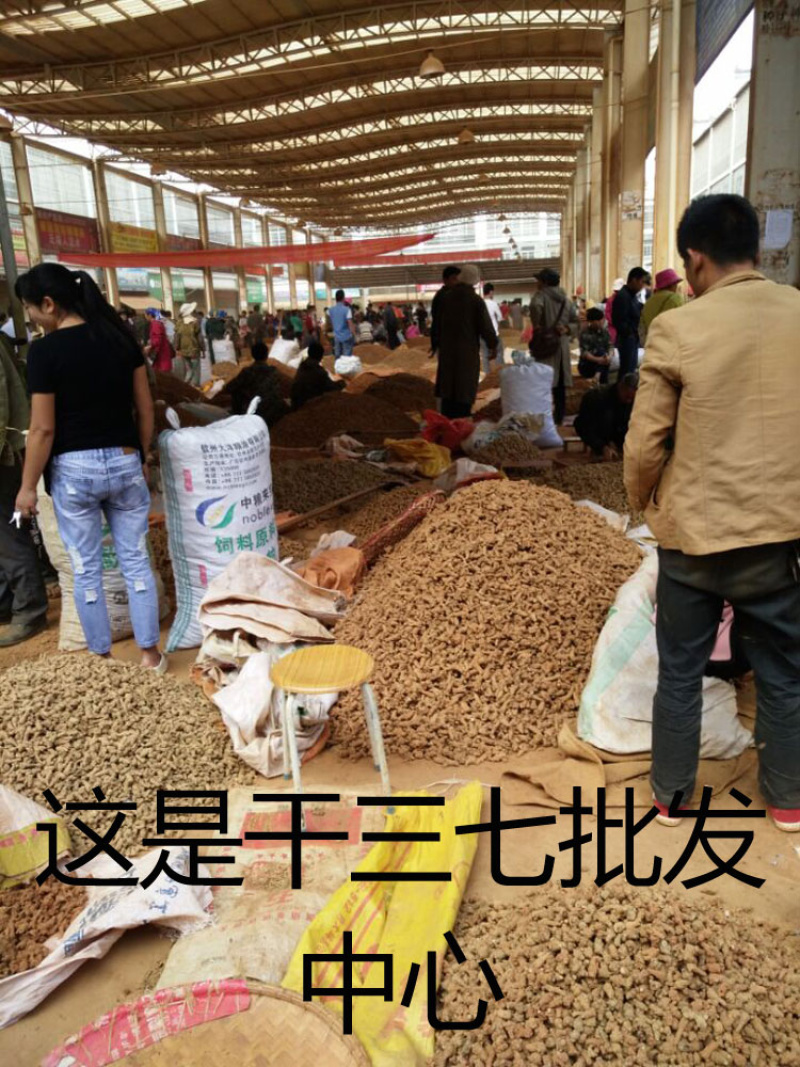 ★三七★云南三七文山特级正品无剪口春田七20头40头
