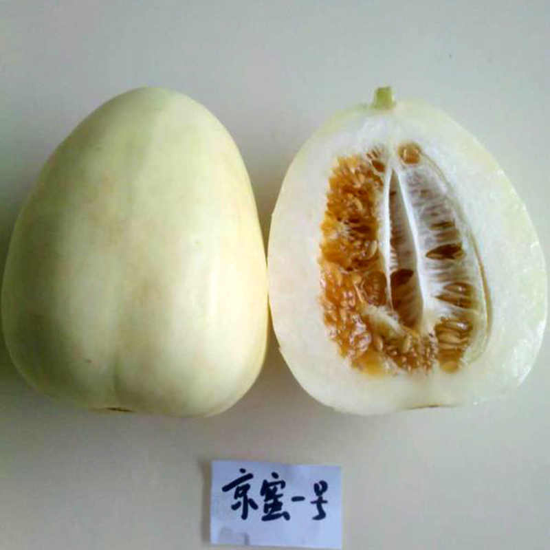 中科茂华瓜果蔬菜种子京蜜一号白皮白肉甜瓜种子皮薄肉厚