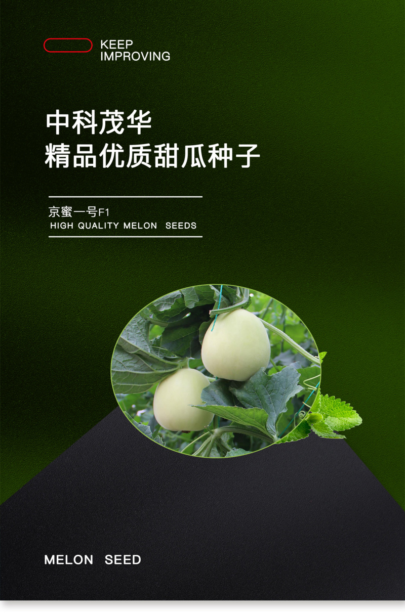 中科茂华瓜果蔬菜种子京蜜一号白皮白肉甜瓜种子皮薄肉厚