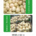 中科茂华瓜果蔬菜种子京蜜一号白皮白肉甜瓜种子皮薄肉厚