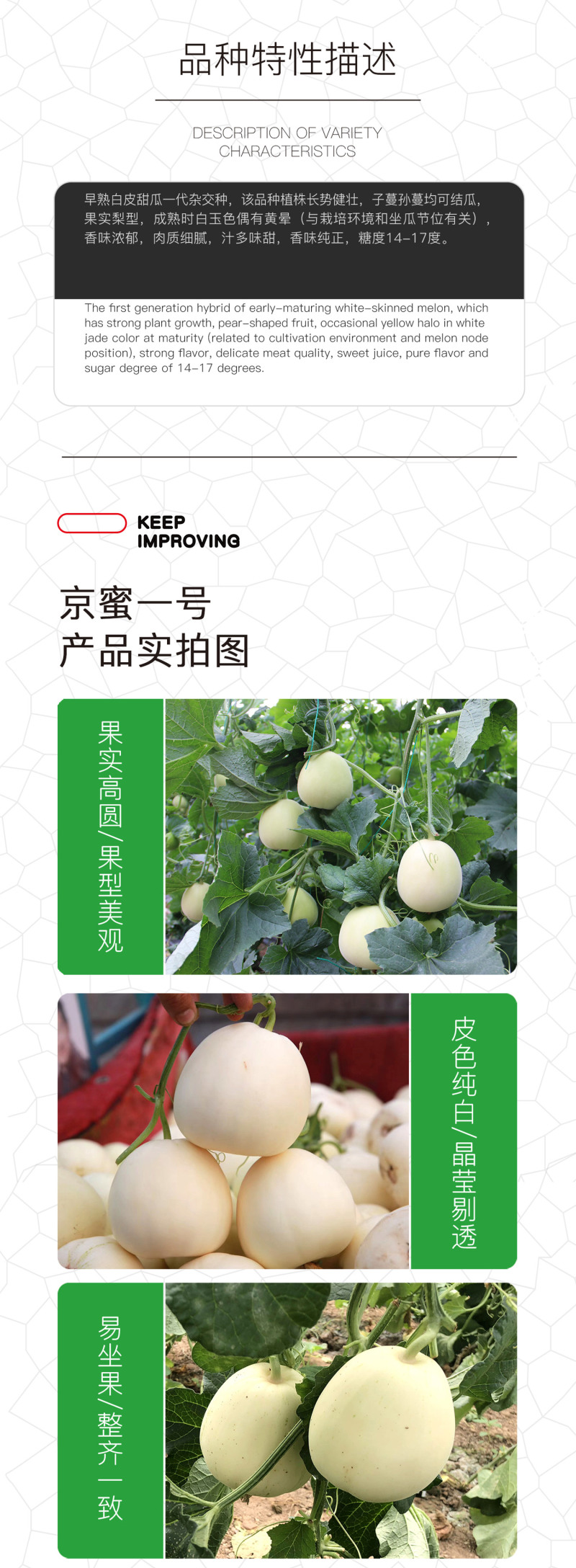 中科茂华瓜果蔬菜种子京蜜一号白皮白肉甜瓜种子皮薄肉厚