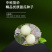 中科茂华瓜果种子玉金香杂交厚皮甜瓜种子肉厚甜多汁