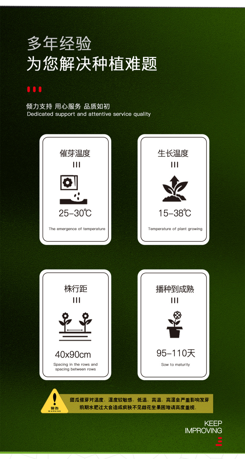 中科茂华瓜果种子玉金香杂交厚皮甜瓜种子肉厚甜多汁