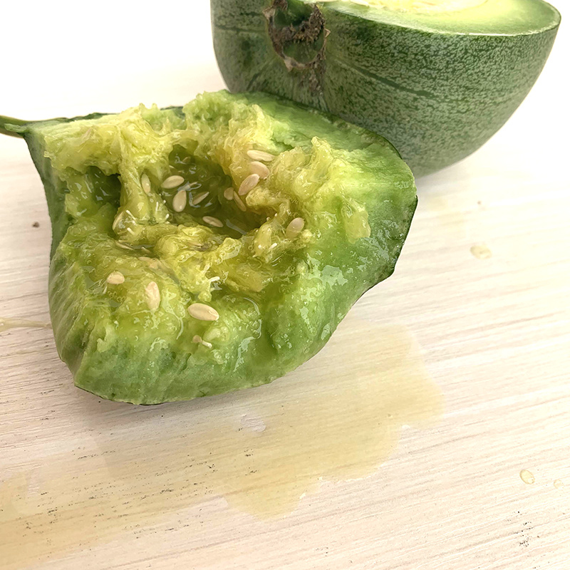 中科茂华瓜果种子杂交老牌绿宝石甜瓜种子皮肉瓤绿色高糖