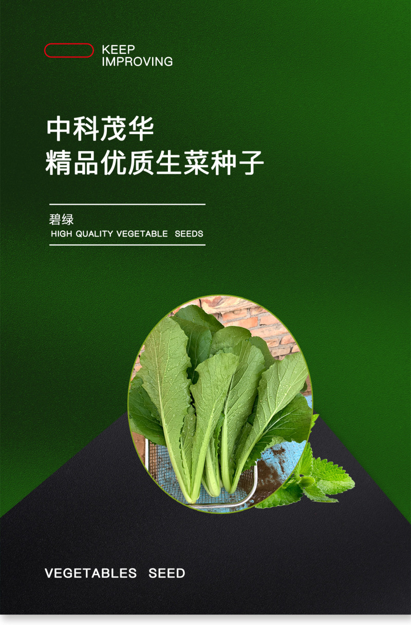 中科茂华蔬菜种子碧绿小白菜种子无刺无绒毛青菜种子绿叶绿帮
