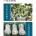 中科茂华蔬菜种子金莎南瓜种子果肉橘黄果肉厚心腔小甜粉糯