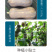 中科茂华蔬菜种子金莎南瓜种子果肉橘黄果肉厚心腔小甜粉糯