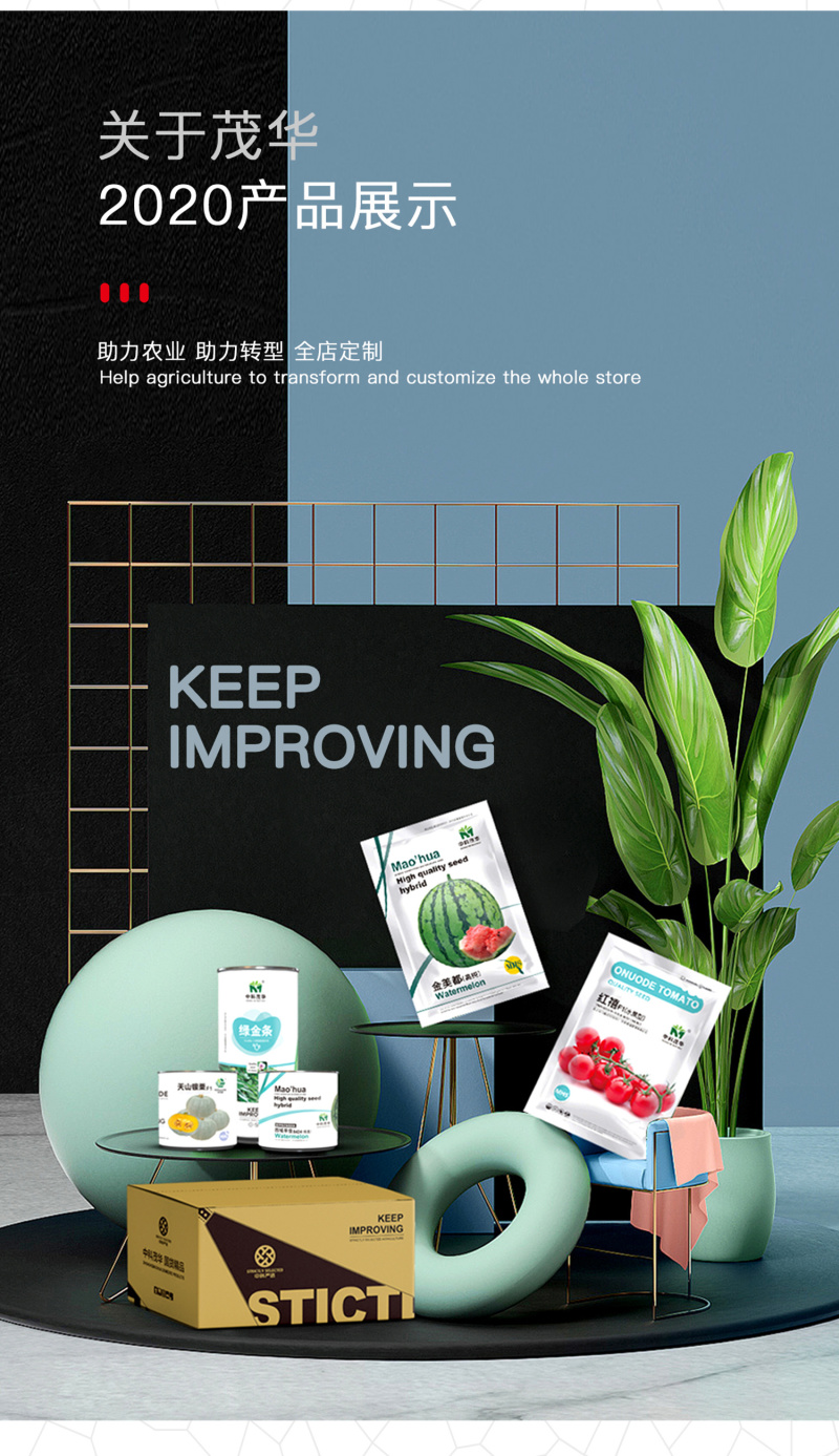 中科茂华蔬菜种子金莎南瓜种子果肉橘黄果肉厚心腔小甜粉糯