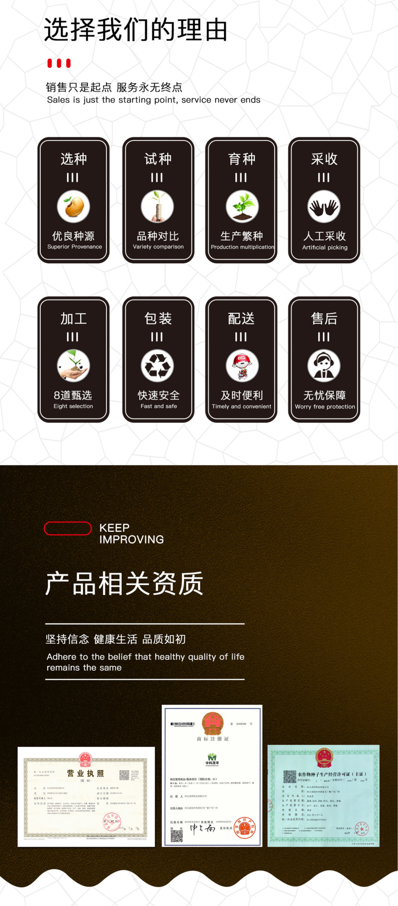 中科茂华蔬菜种子金莎南瓜种子果肉橘黄果肉厚心腔小甜粉糯