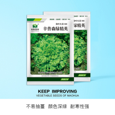 中科茂华蔬菜种子辛普森绿精英568散叶生菜种子耐寒大叶