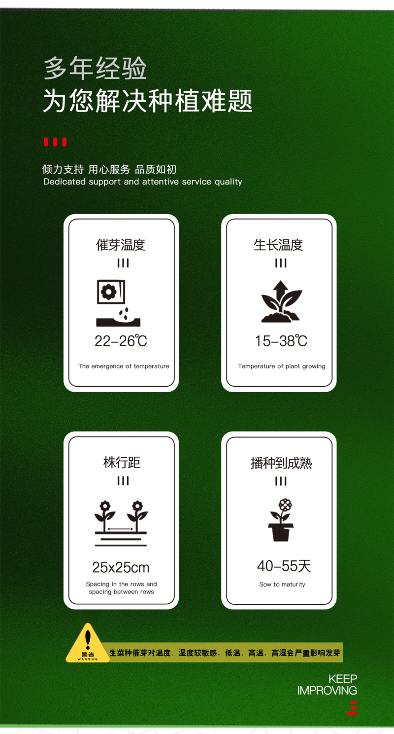 中科茂华蔬菜种子辛普森绿精英568散叶生菜种子耐寒大叶