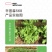 中科茂华蔬菜种子辛普森绿精英568散叶生菜种子耐寒大叶