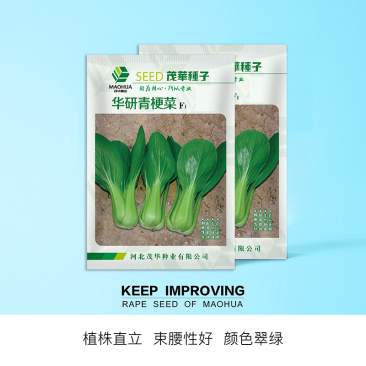中科茂华蔬菜种子华研青梗菜种子杂交油菜种子品质好无纤维