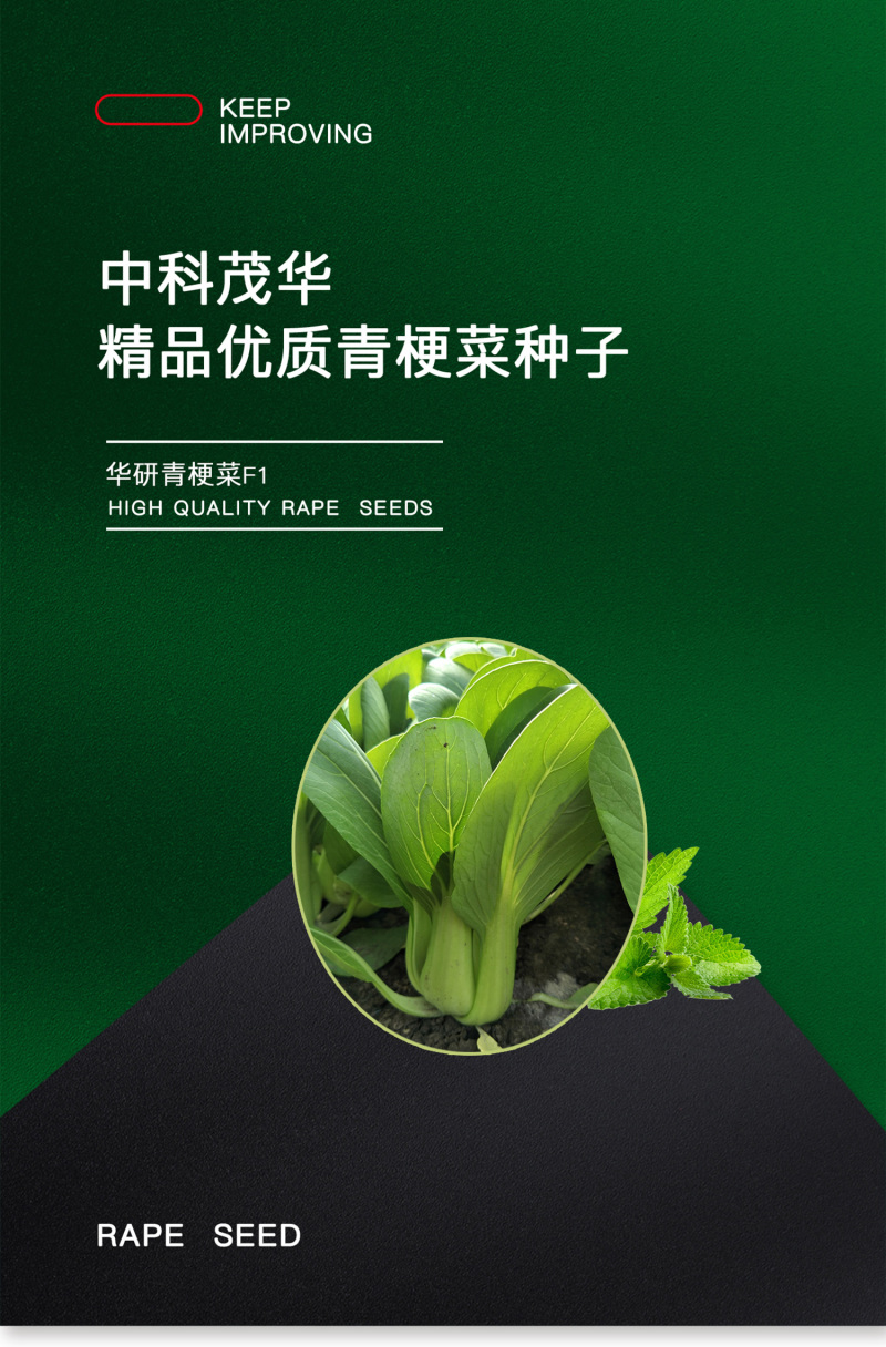 中科茂华蔬菜种子华研青梗菜种子杂交油菜种子品质好无纤维