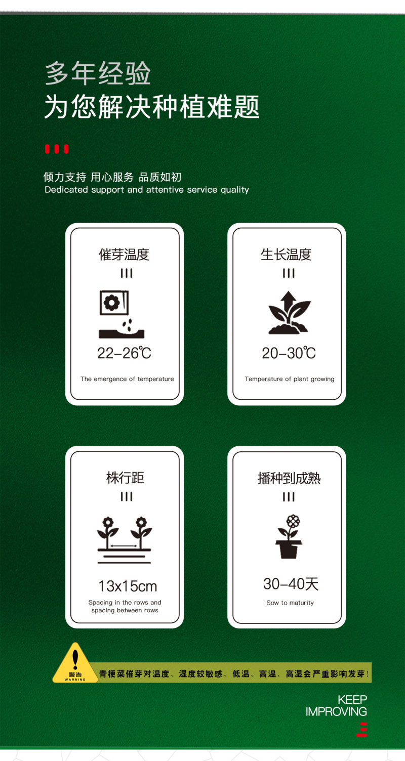 中科茂华蔬菜种子华研青梗菜种子杂交油菜种子品质好无纤维