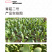 中科茂华蔬菜种子茂华青菘二号小油菜种子四季种植青梗菜