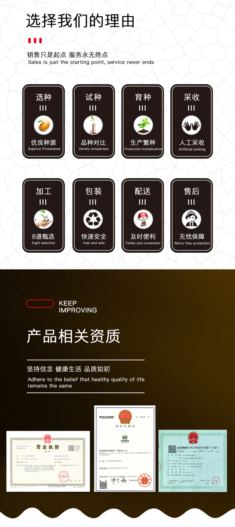中科茂华蔬菜种子奥美斯特668抗热生菜种子耐热越夏生菜