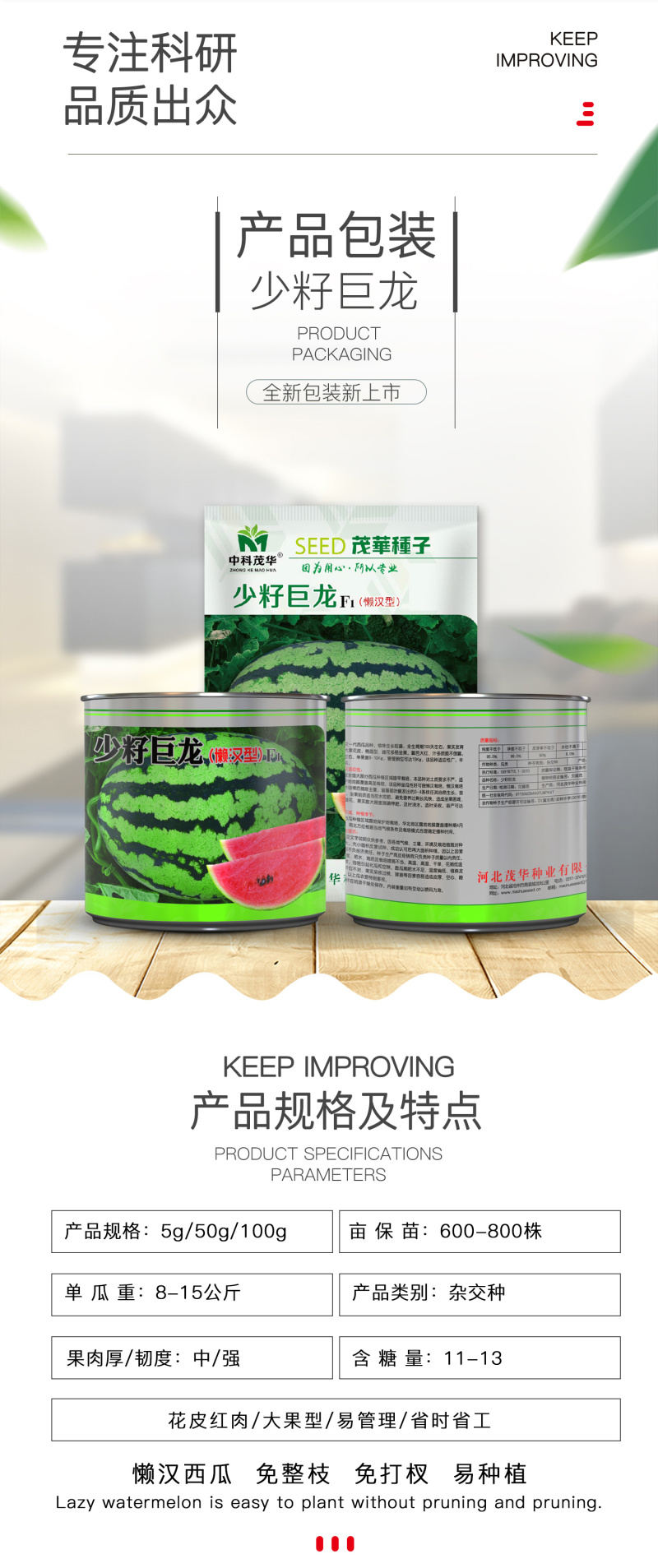 中科茂华杂交西瓜种子少籽巨龙懒汉栽培西瓜種子瓜果大红瓤