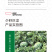 中科茂华杂交西瓜种子少籽巨龙懒汉栽培西瓜種子瓜果大红瓤