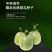 中科茂华瓜果种子杂交老牌绿宝石甜瓜种子皮肉瓤绿色高糖