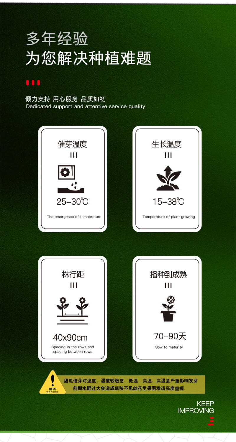 中科茂华瓜果种子杂交老牌绿宝石甜瓜种子皮肉瓤绿色高糖